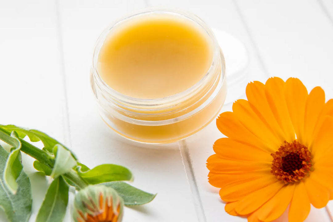 Homemade Calendula & Chamomile Balm Go Native NZ recipe in clear pot, on white table next to bright orange flower