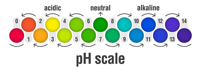 pH testing - Why & How We Do It