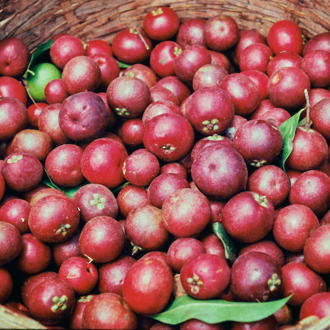 Kokum butter, refined