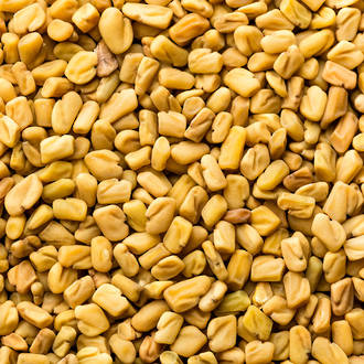 Fenugreek essential oil