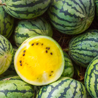 Kalahari melon seed oil