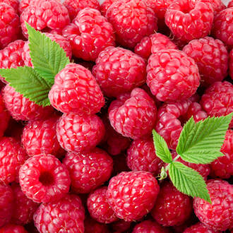 collection of freshly picked raspberry seeds which make raspberry seed oil from Go Native NZ for sensitive skin, psoriasis and inflamed skin.