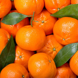 Tangerine essential oil